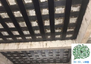阜城厂房碳纤维加固